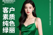 RobinSEO西安晚妆音乐会所直招佳丽，客户素质高纯绿色靠谱吗？佳丽工作内容与薪资如何，无经验可否入职培训